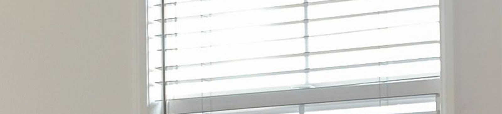 Albany Horizontal Faux Wood Blinds